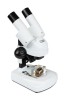 Celestron S20A Angled Stereo Microscope