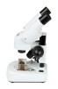 Celestron S20A Angled Stereo Microscope