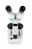 Celestron S20A Angled Stereo Microscope