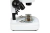 Celestron S20A Angled Stereo Microscope