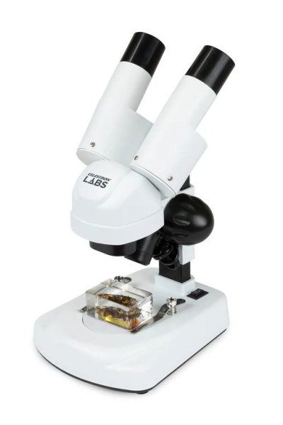 Celestron S20A Angled Stereo Microscope